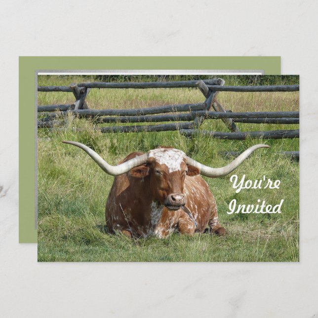Invitation Cow Texas Longhorn Photo Anniversaire (Devant / Derrière)