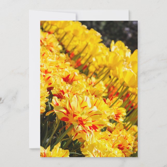 Invitation Croissance en or (Devant)