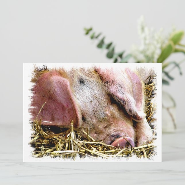 INVITATION CUITE DE PORC (Debout devant)