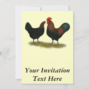 Invitation Cuivre noir des Marans