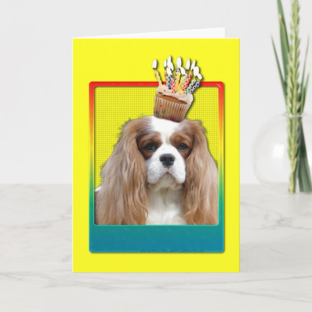 Invitation Cupcake - Cavalier - Blenheim (Devant)