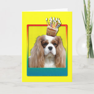 Invitation Cupcake - Cavalier - Blenheim