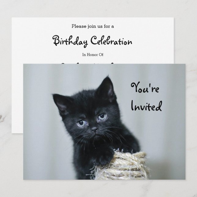 Invitation Cute Black Kitten Twin Photo Anniversaire (Devant / Derrière)