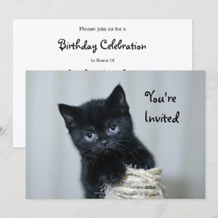 Invitation Cute Black Kitten Twin Photo Anniversaire