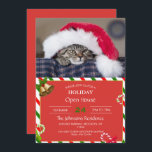 Invitation Cute cat à santa<br><div class="desc">cat christmas kitty pet,  swemor baby merry,  pets little fun tabby ,  colorful small furry beautiful,  feline claus fluffy cute ,  winter funny funxmas ,  a santa red holiday ,  kitten animal ,  christmas kitty kitty, </div>