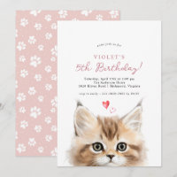 Cute Kitten | Fête d'anniversaire de la chatte ros