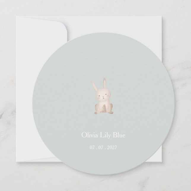 Invitation Cute Little Rabbit Baby Birth Announcement Card. (Devant)
