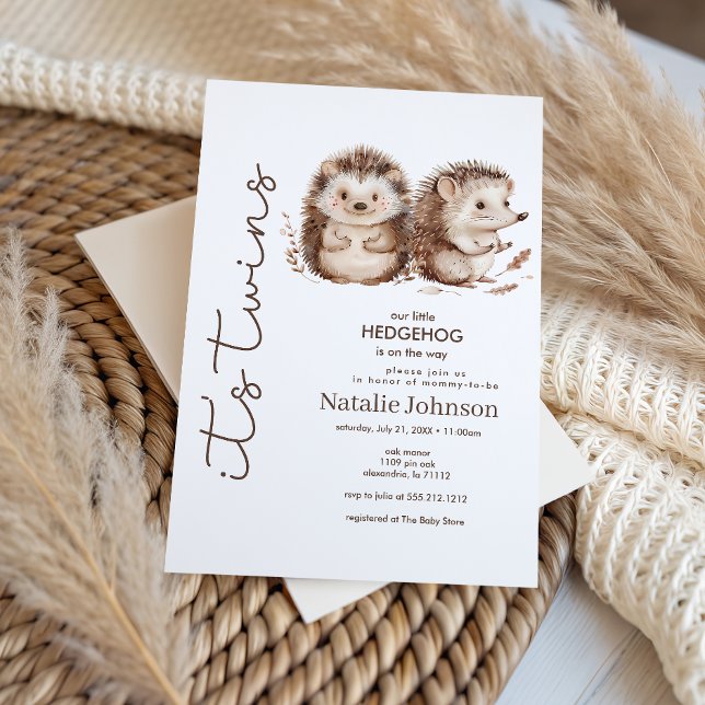 Invitation Cute Sweet Little Hedgehog Its Twins Baby Shower (Créateur téléchargé)