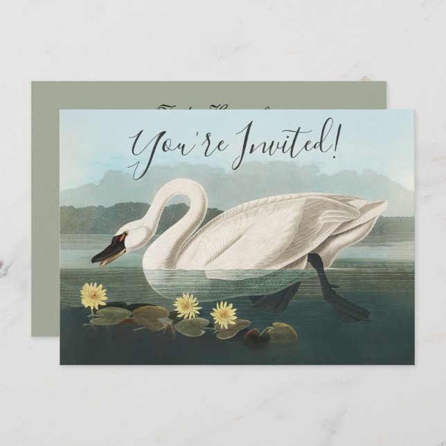 Invitation cygne audubon cygnes d'eau blanche (Devant / Derrière)
