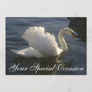 Invitation Cygne Blanc