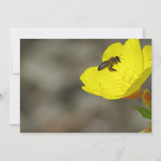 Invitation d'abeilles