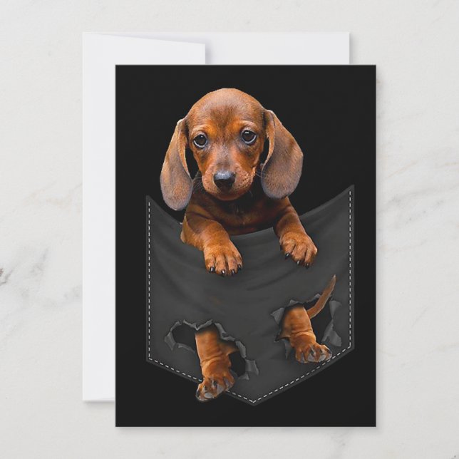 Invitation Dachshund Dans Ma Poche Cadeau De Chien Wiener (Devant)