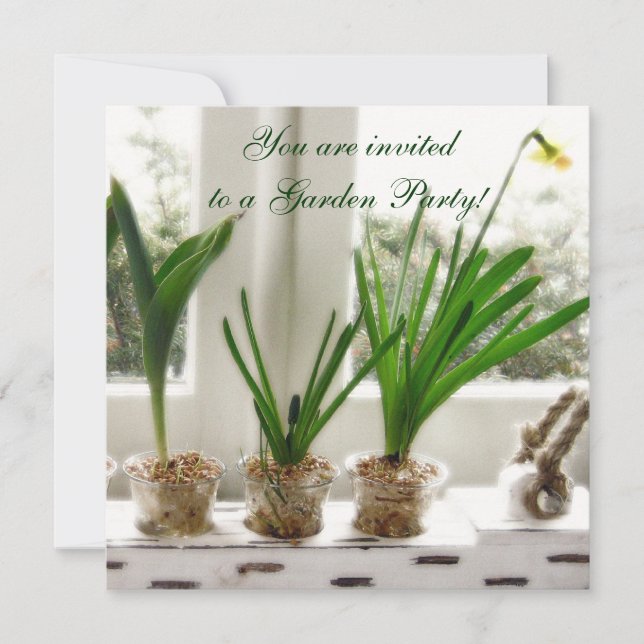 Invitation Daffodiques ensoleillés dans la fenêtre (Devant)
