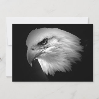 Invitation d'aigle américain BW Bald