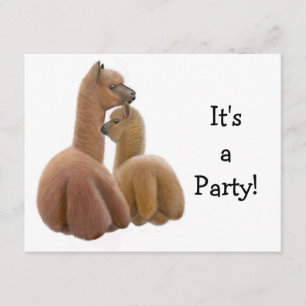 Invitation d'Alpaca Buddies