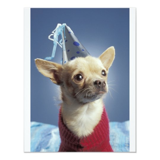 Invitation D Anniversaire De Chien De Partie Zazzle Fr Invitation D Anniversaire De Chien De Partie Zazzle Fr