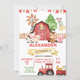 Invitation d'anniversaire de sexe neutre pour les