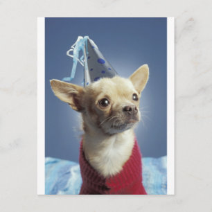 Invitation d'anniversaire du chien de fête