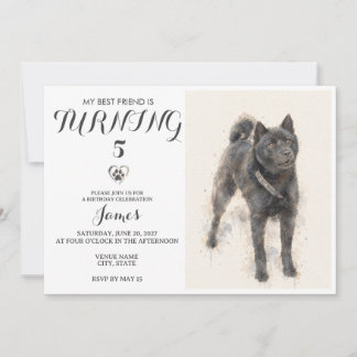 Invitation d'anniversaire pour animal de compagnie