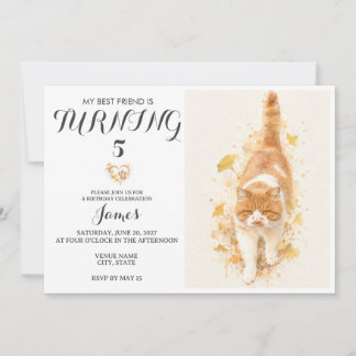 Invitation d'anniversaire pour animal de compagnie