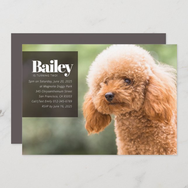 Invitation d'anniversaire pour un chien de marionn (Devant / Derrière)