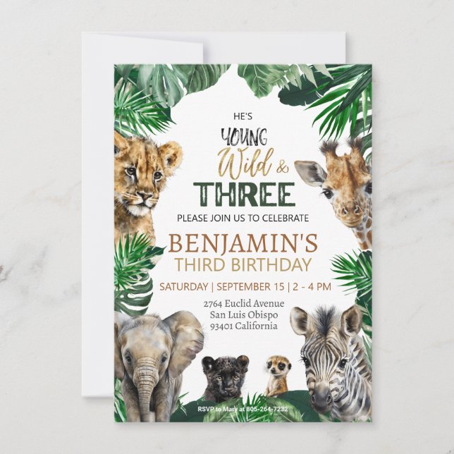 Invitation d'anniversaire Wild & Three Safari (Devant)