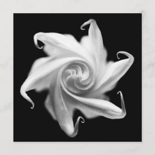 invitation de bourgeon floral de datura