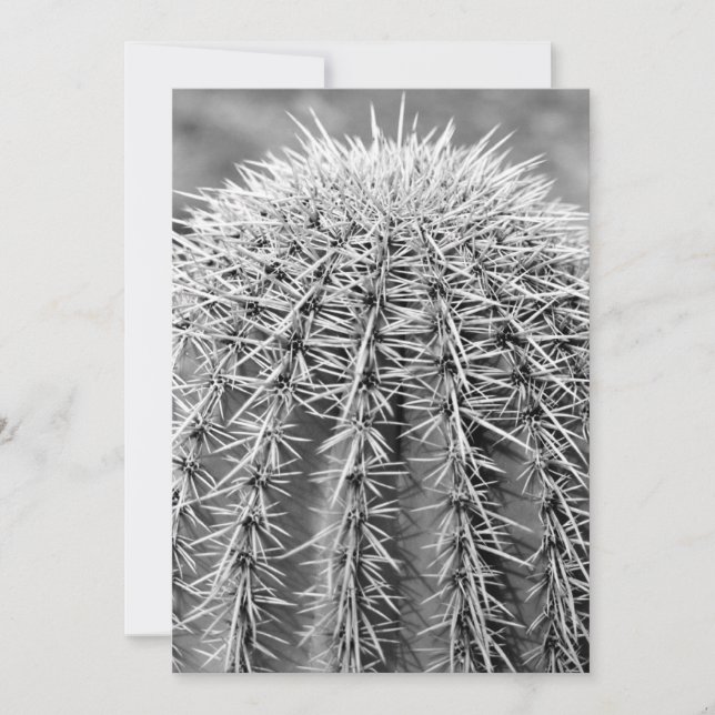 Invitation de Buzz Cut Cactus (AZ Sonoran Desert) (Devant)