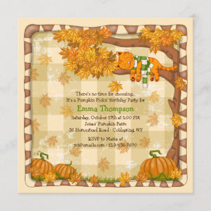 Invitation de chats endormis en automne