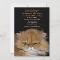 Invitation de chats grumpy