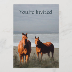 Invitation de cheval de plage