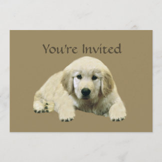 Invitation de chiot de golden retriever