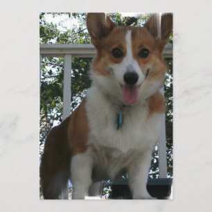 Invitation de corgi