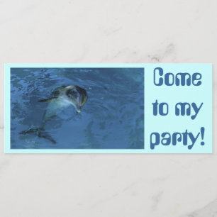 Invitation de dauphins