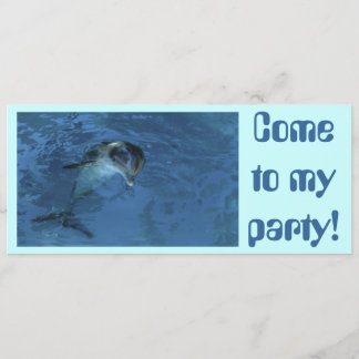 Invitation de dauphins