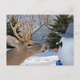 Invitation de déjeuner