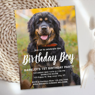 Invitation de fête personnalisée pour l'anniversai