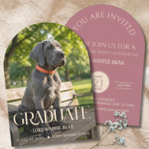 Invitation de fin d'études de chien Photo de compa