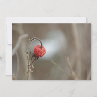 Invitation de fruits Roses sauvages