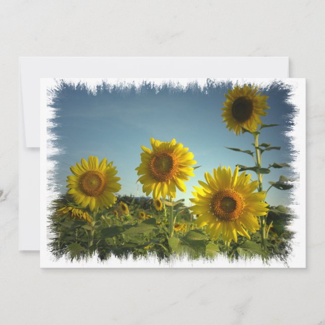 Invitation de jardinage organique (Devant)