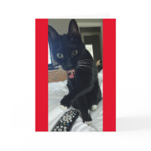 invitation de jeu chat distant drôle