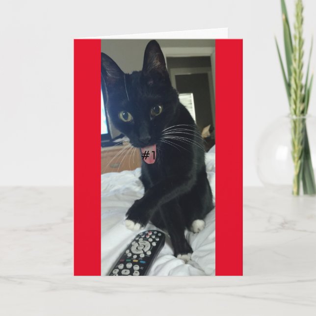 invitation de jeu chat distant drôle (Devant)