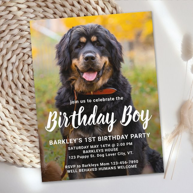 Invitation de la fête d'anniversaire du chien (Créateur téléchargé)