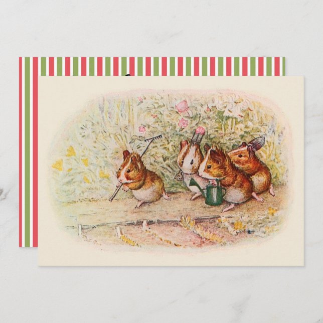 Invitation de la partie d'engagement de la Guinée (Devant / Derrière)