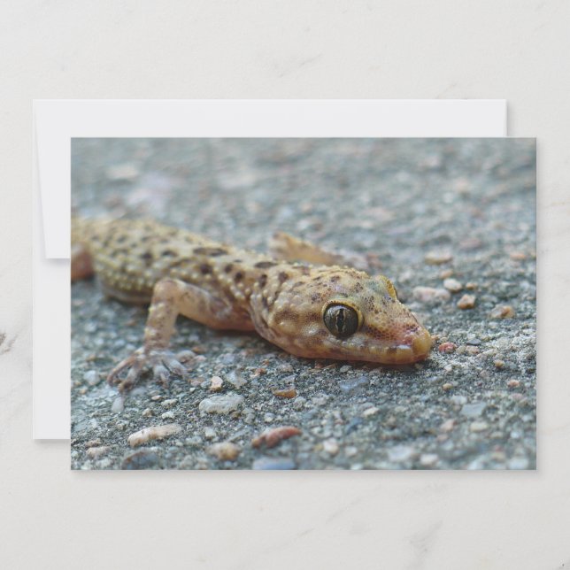 Invitation de Lizard (Devant)