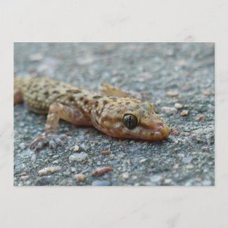 Invitation de Lizard
