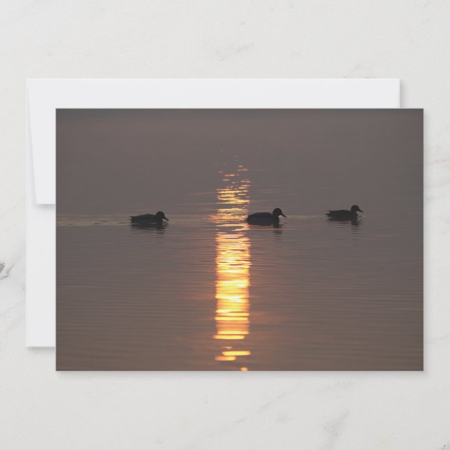 Invitation de Mallards (Devant)