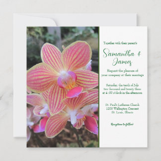 Invitation de mariage aux orchidées