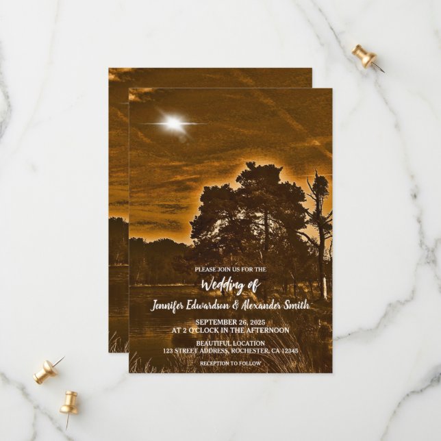 Invitation de mariage de campagne à lumières scint (Devant/Arrière en situation)
