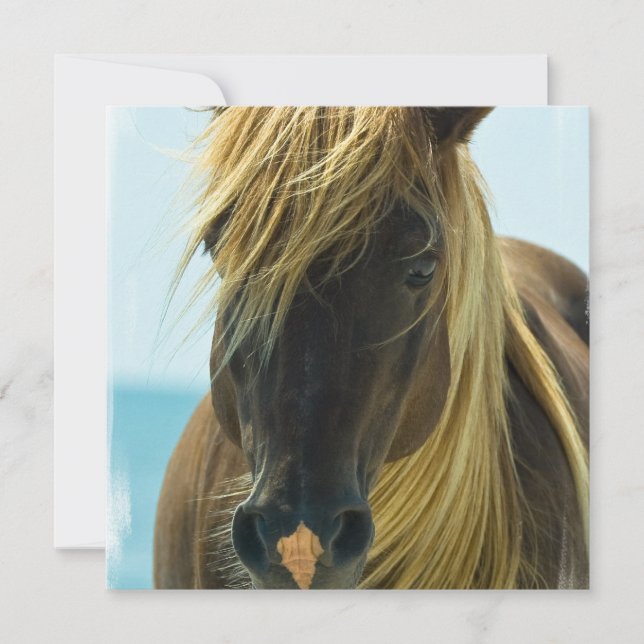 Invitation de Mustang Horse (Devant)